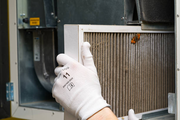 Best HVAC Duct Inspection Services  in Los Alamitos, CA
