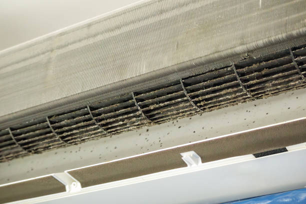 Best Air Duct Cleaning Company Near Me  in Los Alamitos, CA